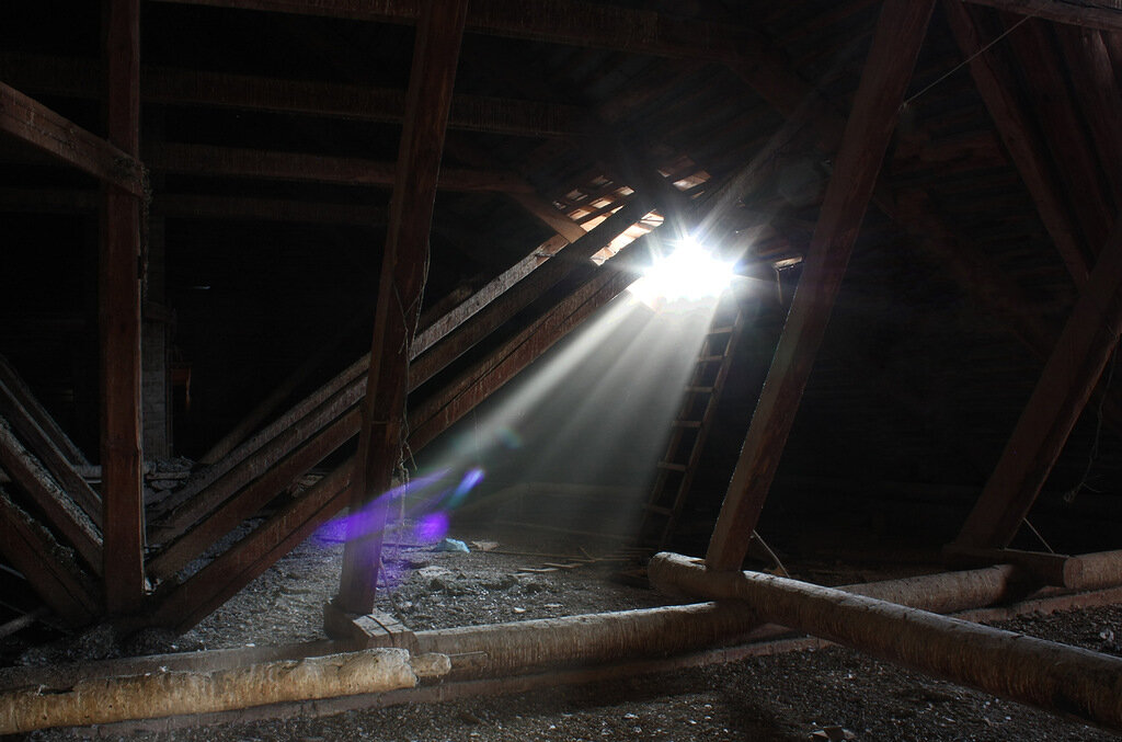 Яндекс -картинки