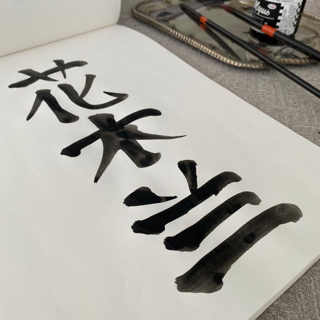 Мама, какая из принцесс твоя любимая? Мулан. Потому что она — китаянка? Нет, потому что ее зовут МуЛан / 木兰, а меня — МиЛа / 米拉. Стремление найти внутри себя поддержку приносит ресурсы порой странным образом. Разглядеть их могу только я, конечно.

Склонность к сохранению энергии заставляет искать самые простые решения. Зачем придумывать, когда все уже есть? Возьми чужой опыт, примерь, ушей и носи.
Намерение мое — показать более короткий путь, уже опробированный миллионами людей, прожитый сотнями часов. Погрешность есть, но она не велика настолько, насколько ее несет с собой новый опыт. Придумывать велосипед - слишком ресурсозатратно, что есть роскошь во временя не просто перемен, а перемен стремительных.

Никто не молет муку: пойти в магазин и купить готовую. Мало, кто разбирается, как устроен интернет: мы просто им пользуемся. Упрощение — вот, к чему мы стремимся.
Вчера разложила по полочкам эффекты, которые дает каллиграфия. Утром, как только дом опустел, достала кисти, тушь, альбомы. Стою перед чистым листом и не знаю, что писать. Стала хватать словари, книги... Вспомнила Хуа Мулан. Девушка-воин. Чистая Ци, признавшая себя вопреки всему.

Цветок Орхидеи на Дереве или Магнолия — так переводится ее имя. Магнолия... хочу посадить ее перед домом уже много лет. Меня восхищают эти огромные розовые цветы на голых пепельно-серых ветвях. Фото — моей сестры в саду родительского дома.

Исписала листов 10, повторяя и повторяя одни и те же три иероглифа. Пока не удовлетворилась результатом. Пока цветок, дерево и орхидея не стали цельным.
Каллиграфия — выражение личности. Характер человека, выраженный в простых линиях. Насколько хватает терпения, насколько есть готовность повторять до той степени удовлетворенности, уровень которой решает только автор. Все, как в жизни.

"Из всех видов произвольных действий акт письма — наиболее сложный и трудоемкий".

Мысли покинули меня. Только я и линии. Черные, яркие, сочные. Дыхание выровнялось, как только я переключила внимание на движения. Тренировала руку, неповоротливая вела за собой кривые дрожащие огрызки. Размяла, согрела, выдохнула. Спина - ровнее. Вес — на ноги. Пытаюсь охватить умом все, что происходит — не получается. Напряжение и волнение — отпускаю выдохом. Поток. Состояние потери в пространстве и времени.
Сколько прошло времени, чтобы обрести вновь покой, ясность и веру в себя? Минут тридцать. Расслабленный ум не сопротивляется вспышкам вдохновения. Я вижу книгу — на одной стороне листа крупный яркий (настолько, насколько только черный может быть ярким на белом) иероглиф, а за ним история. Сколько их было в жизни? Множество. И каждая до сих пор живет во мне. Какие-то уже прожиты. Продолжают лежать, как белые коньки в кладовке, дожидаясь своего часа. Когда я достану их, протру тряпочкой пыль, наточу лезвия и отправлюсь поздним вечером на каток, так же как кистью по бумаге, оставляя за собой следы резких разворотов на припудренном снегом льду.

Романтика. Что ж, пусть будет. Сегодня ее многим не хватает, а в ней неисчерпаемые ресурсы.

А может это та самая Ци, вырвавшаяся наружу? Познакомься с ней. Почувствуй ее. И разреши ей быть. Ведь

"Смелости без страха не бывает".