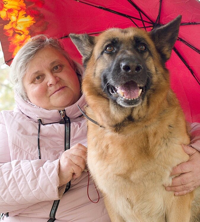 Скородумова Марина Юрьевна с овчаркой по кличке Шакира