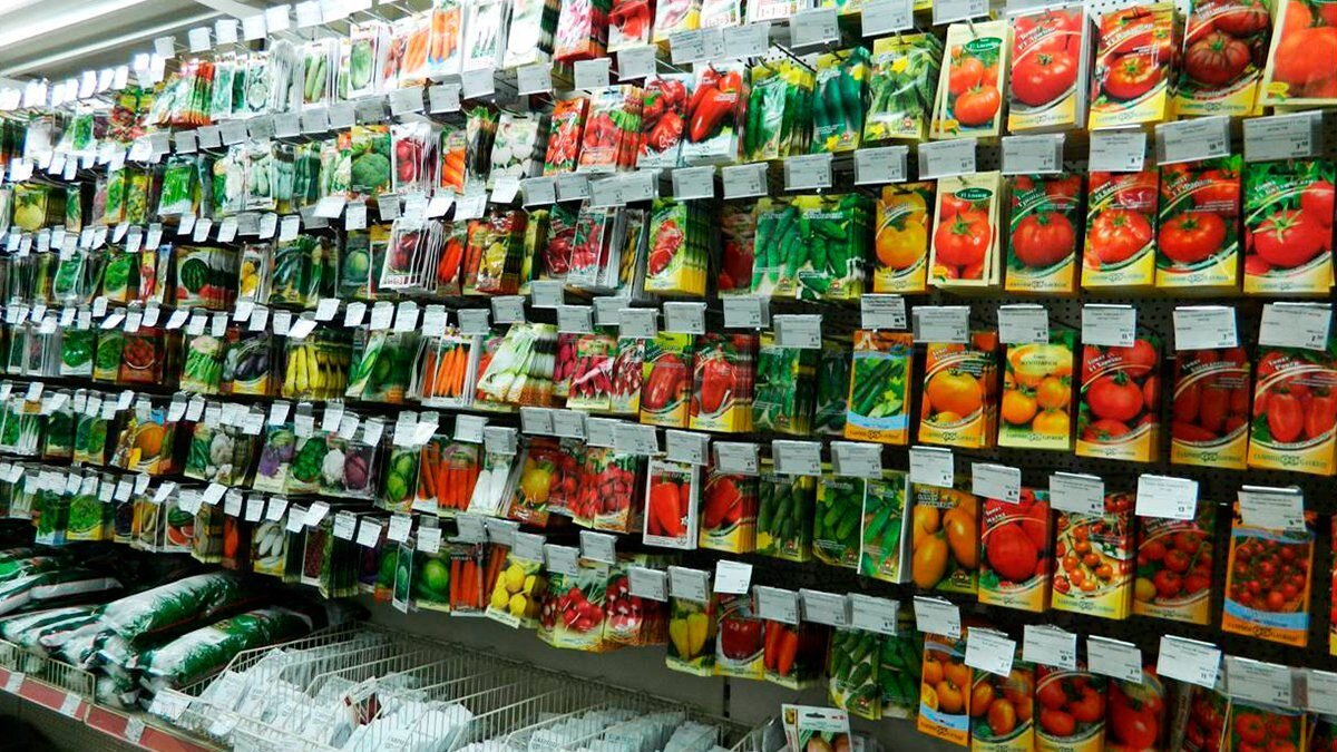 Фото взято из открытого источника