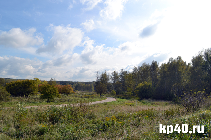 Бушмановка калуга. Бушмановский пруд Калуга. Калуга бушмновский пруд. Бушмановский пруд Калуга 2021. Пруд на Бушмановке в Калуге.