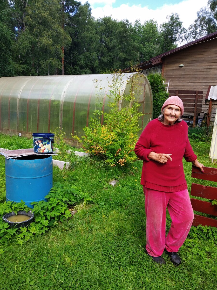 Мама заставила меня проращивать на груди рассаду огурцов). Вечно у меня  приключения. | Людмила Рождественская | Дзен