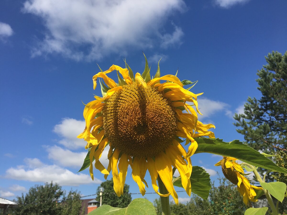 Из личного архива автора)