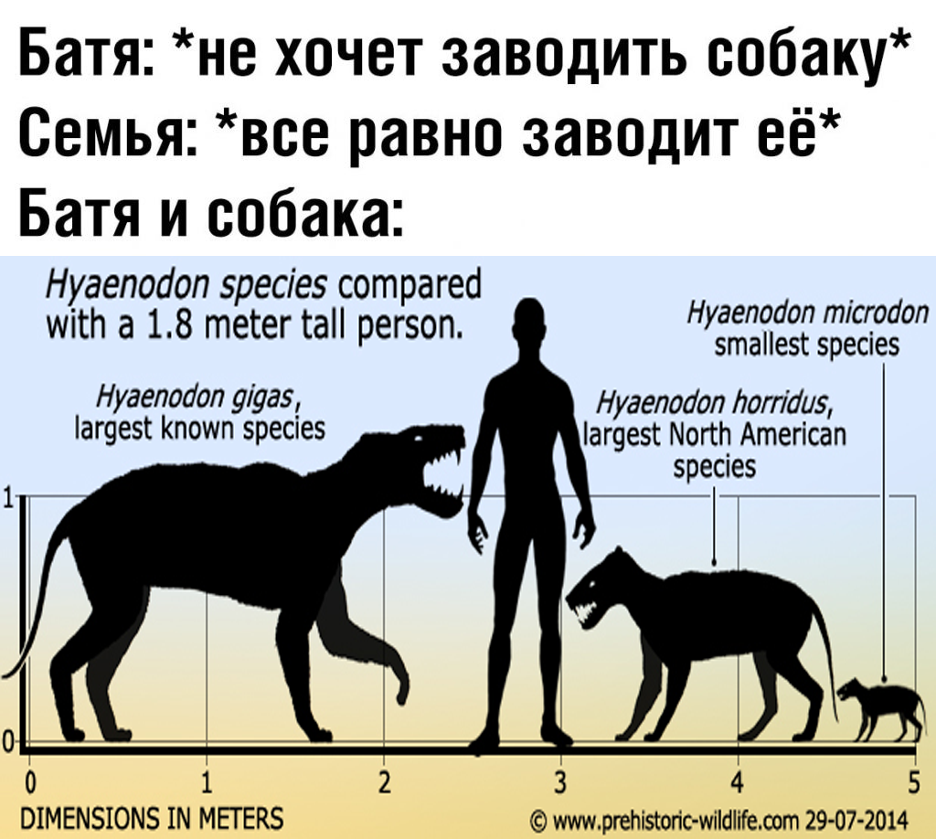 by prehistoric-wildlife