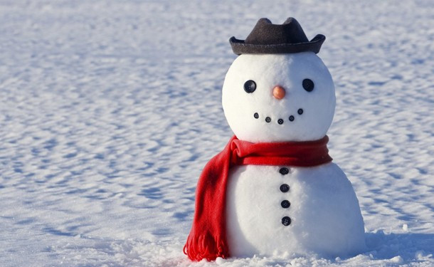 Достаточно аккуратности и забавных аксессуаров - от классической морковки до эффектной фетровой шляпки