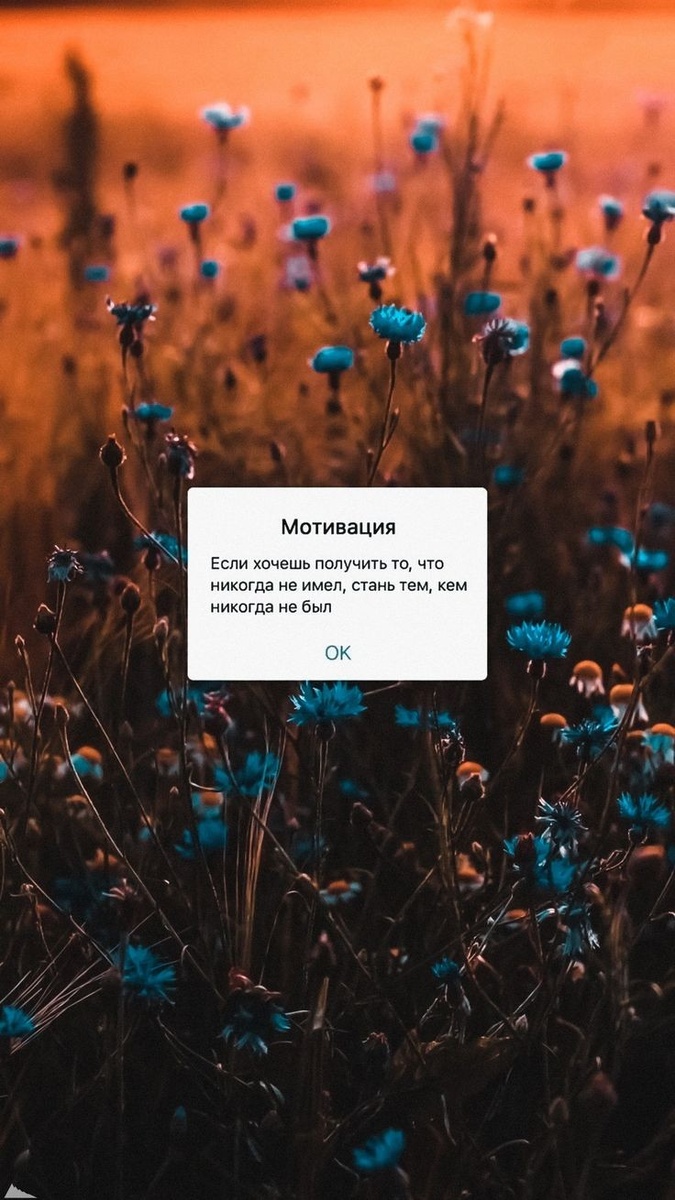 Источник изображения: Pinterest