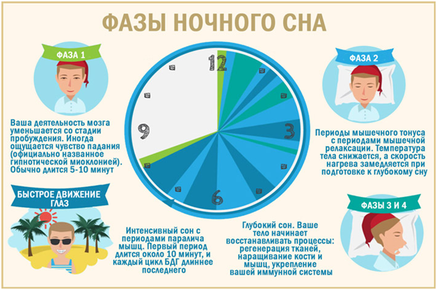 Сомнолог объяснил, откуда появляется чувство падения во сне — Бобруйский новостной портал Bobrlife