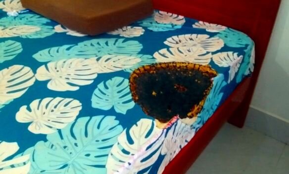 Осип испортил кровать