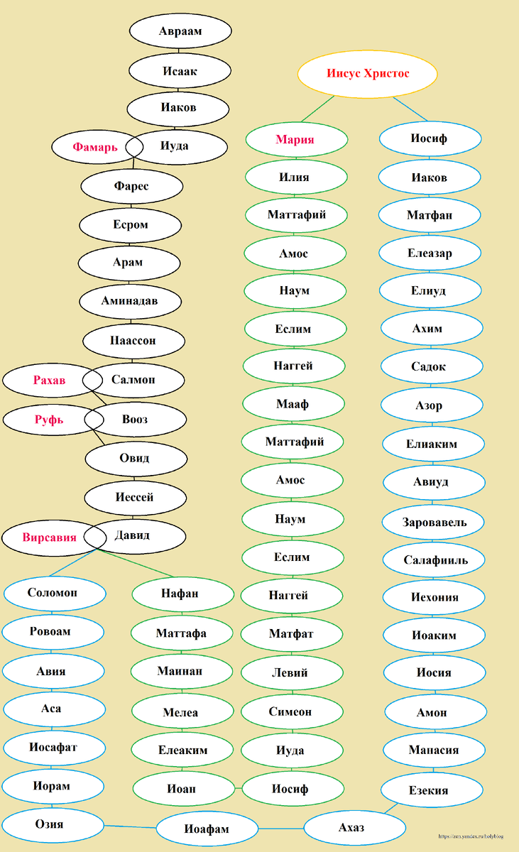 Род христа. Родословная Иисуса Христа таблица. Родословная Иисуса Христа от Адама. Родословие Иисуса Христа схема. Родословная Христа от Адама схема.