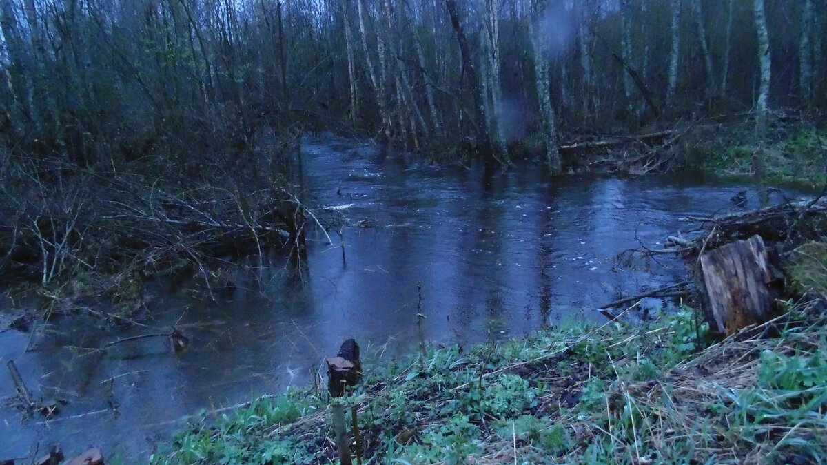 Вода прибывала