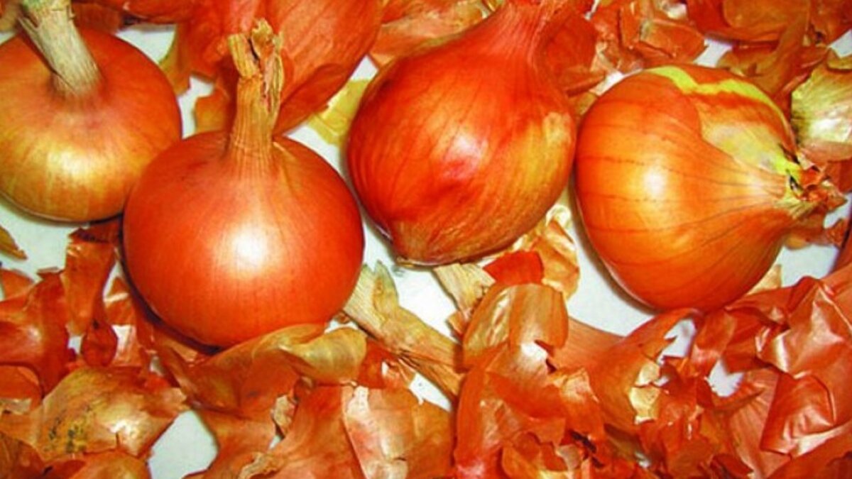 Луковая шелуха