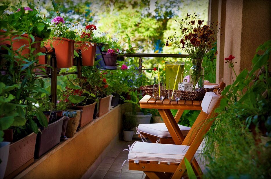 Фото — objektiv.rs