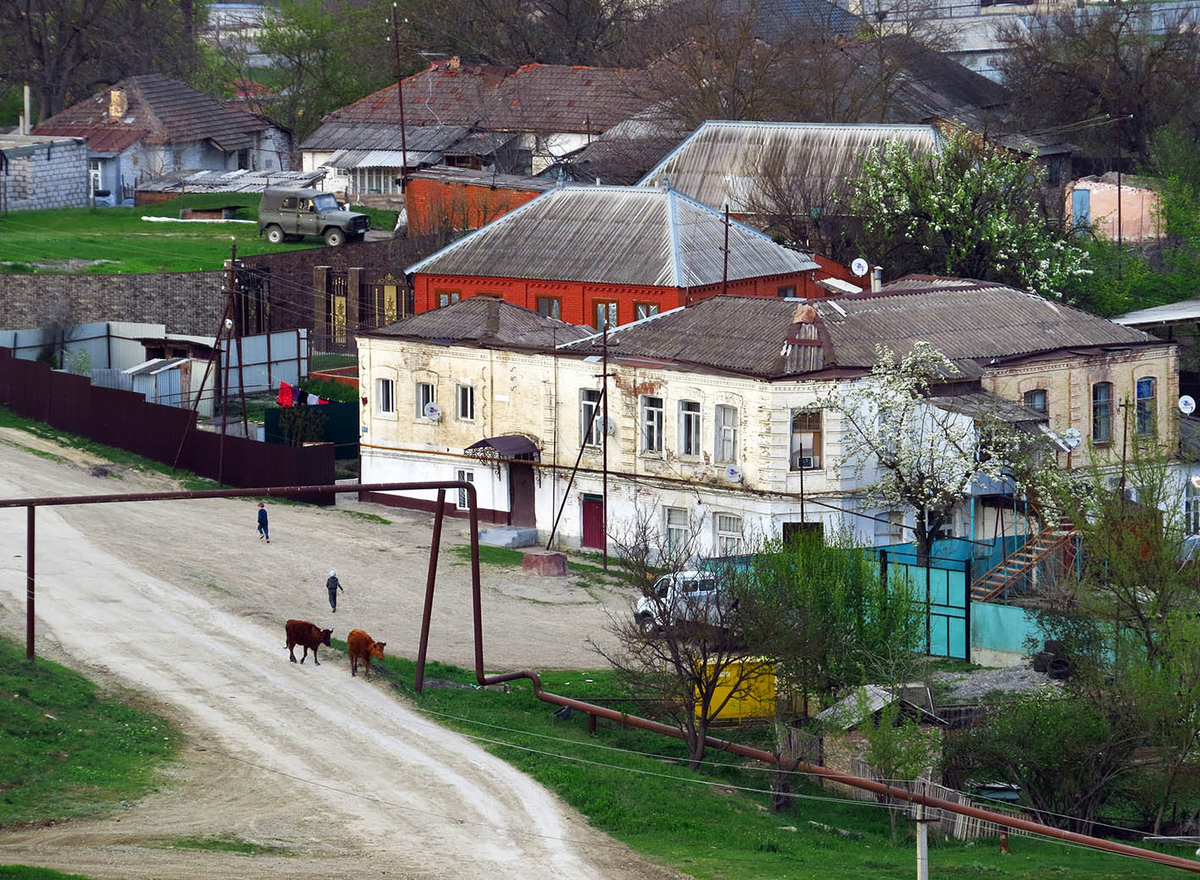 Население поселка. Поселок Катаяма в Грозном. Грозный окраины города. Старый поселок Грозный. Восточная окраина России.