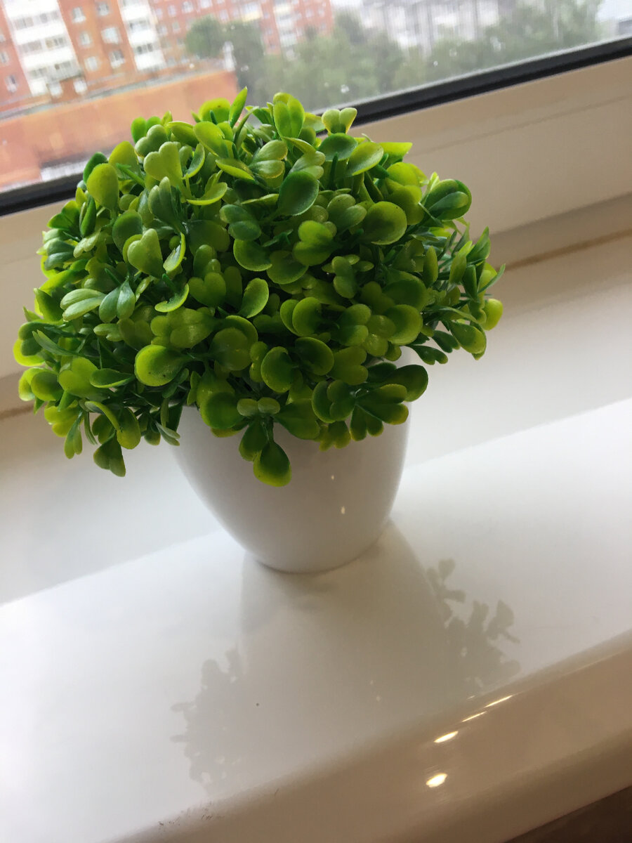 Реальные фото автора канала. ЛИСТАЙ---