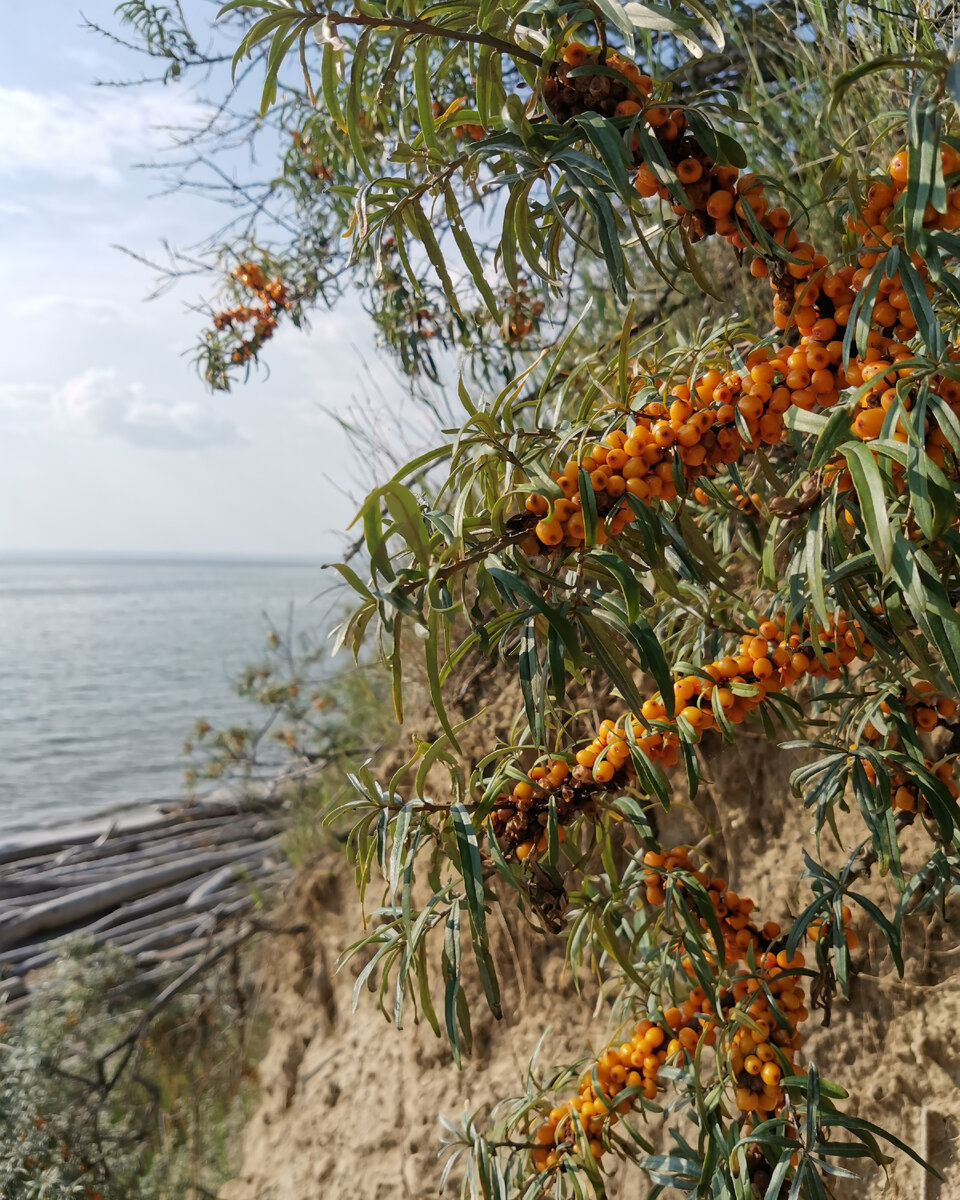 Обское море. Новосибирская область