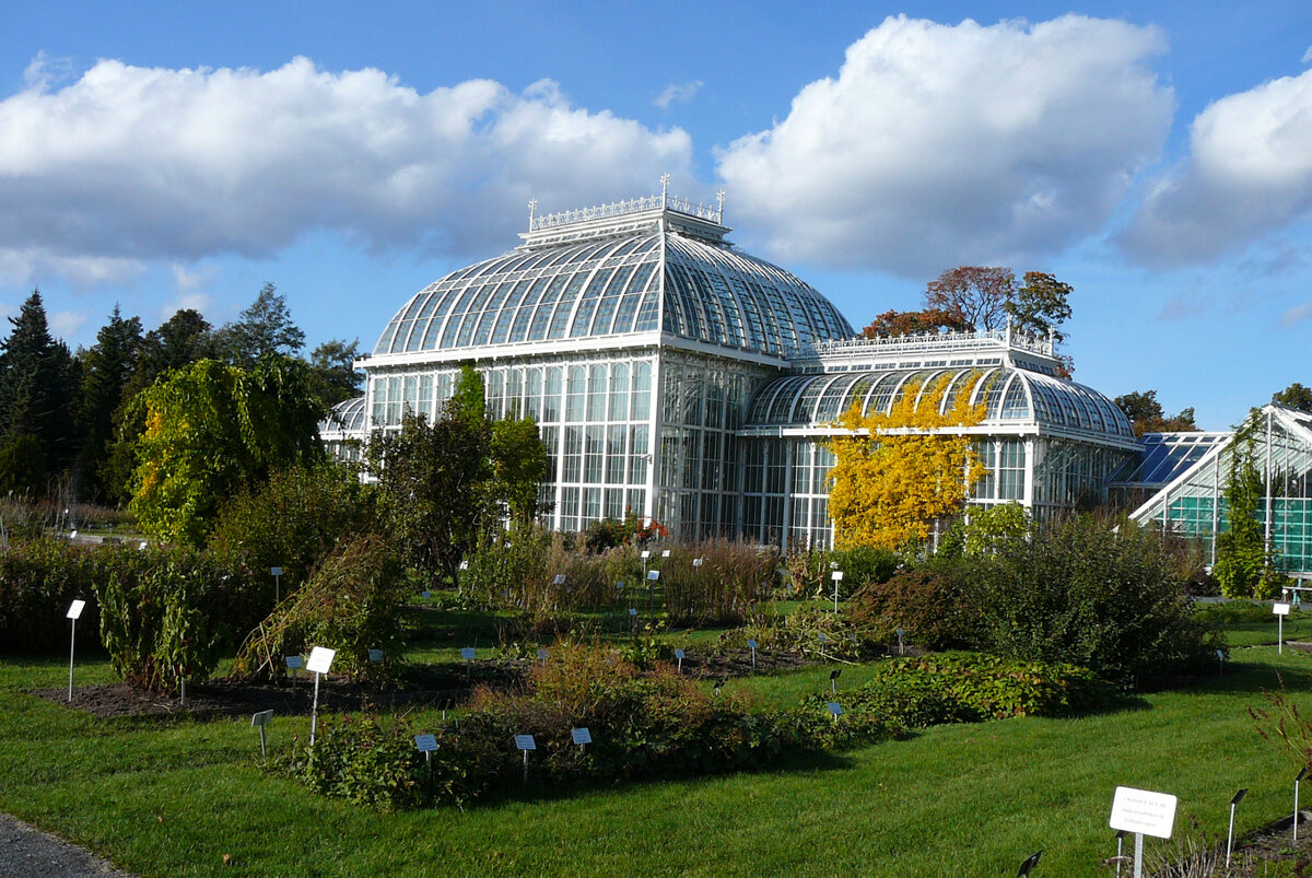 В эти красивые оранжереи у меня так пока и не получилось попасть ни разу, к сожалению. Надеюсь, что еще будет такая возможность.
