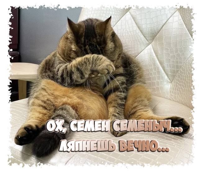 источник: vk.com/hubmemus