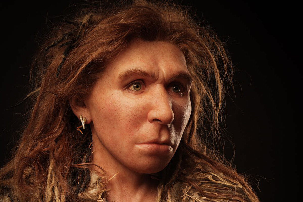 Внешность древних людей. Homo Neanderthalensis. Homo Neanderthalensis(Неандертальский). Человек Алтайский хомо Денисова.