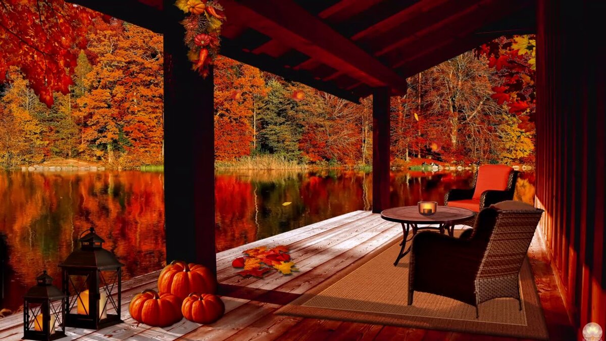 Autumn morning Cabin ambience