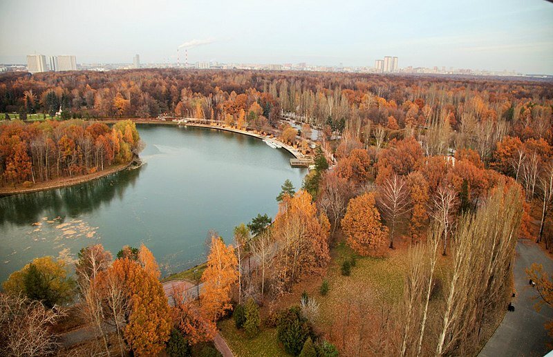 Источник: https://ru.m.wikipedia.org/wiki/%D0%A4%D0%B0%D0%B9%D0%BB:%D0%9E%D1%81%D0%B5%D0%BD%D0%BD%D0%B8%D0%B9_%D0%B2%D0%B8%D0%B4_%D0%BD%D0%B0_%D0%9A%D1%80%D1%83%D0%B3%D0%BB%D1%8B%D0%B9_%D0%BF%D1%80%D1%83%D0%B4,_%D0%98%D0%B7%D0%BC%D0%B0%D0%B9%D0%BB%D0%BE%D0%B2%D1%81%D0%BA%D0%B8%D0%B9_%D0%9F%D0%9A%D0%B8%D0%9E.jpg