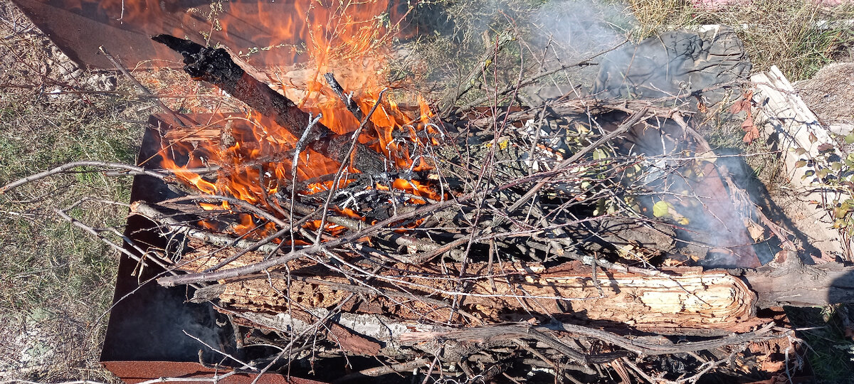 Совсем недавно развел костер
