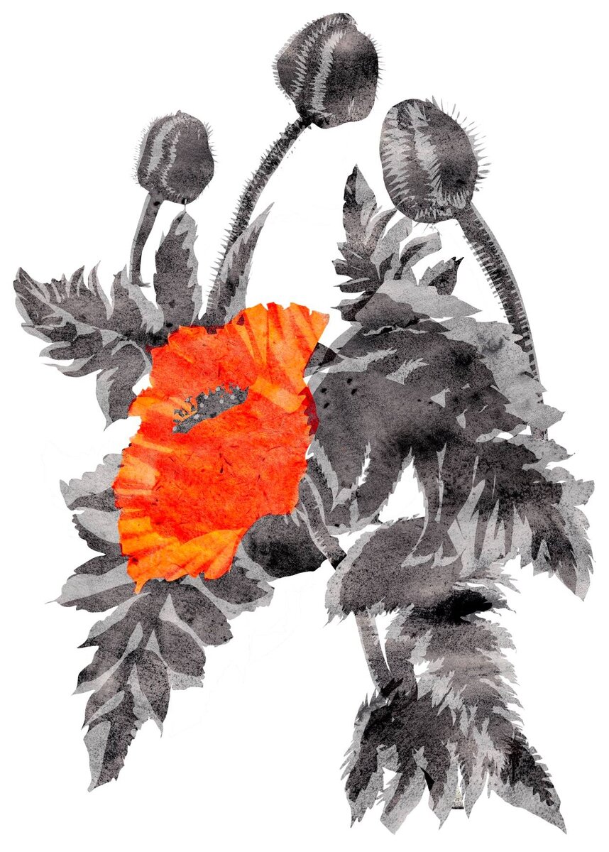 Художник Марина Скепнер