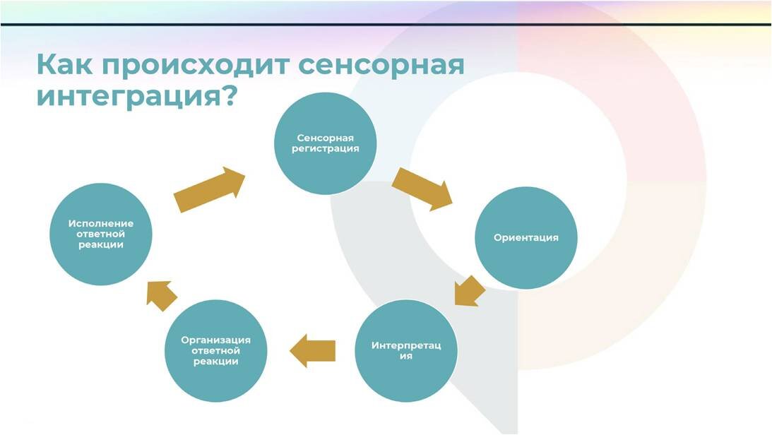 Сенсорная интеграция презентация фото HobbiArt.ru