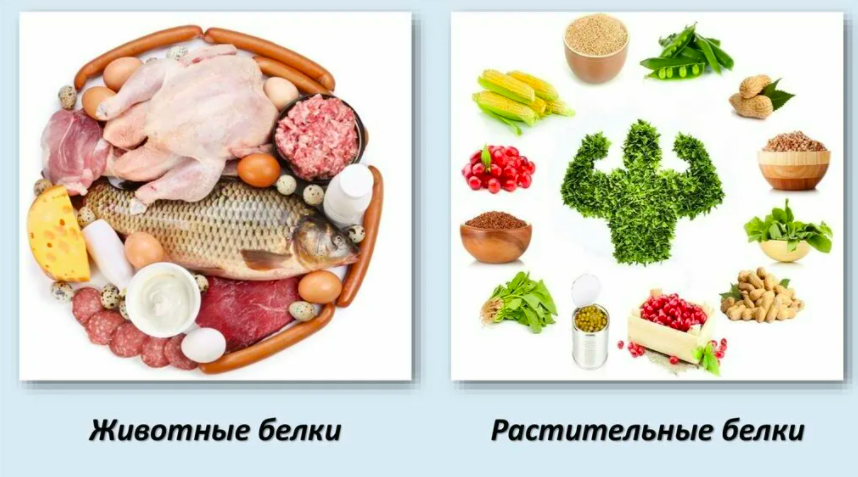 Варианты по белкам не упираются в говядину и дорогую рыбу! | Коллаж: Яндекс Картинки