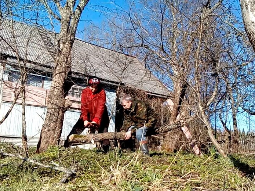 Весенняя обрезка деревьев в саду. Фото автора