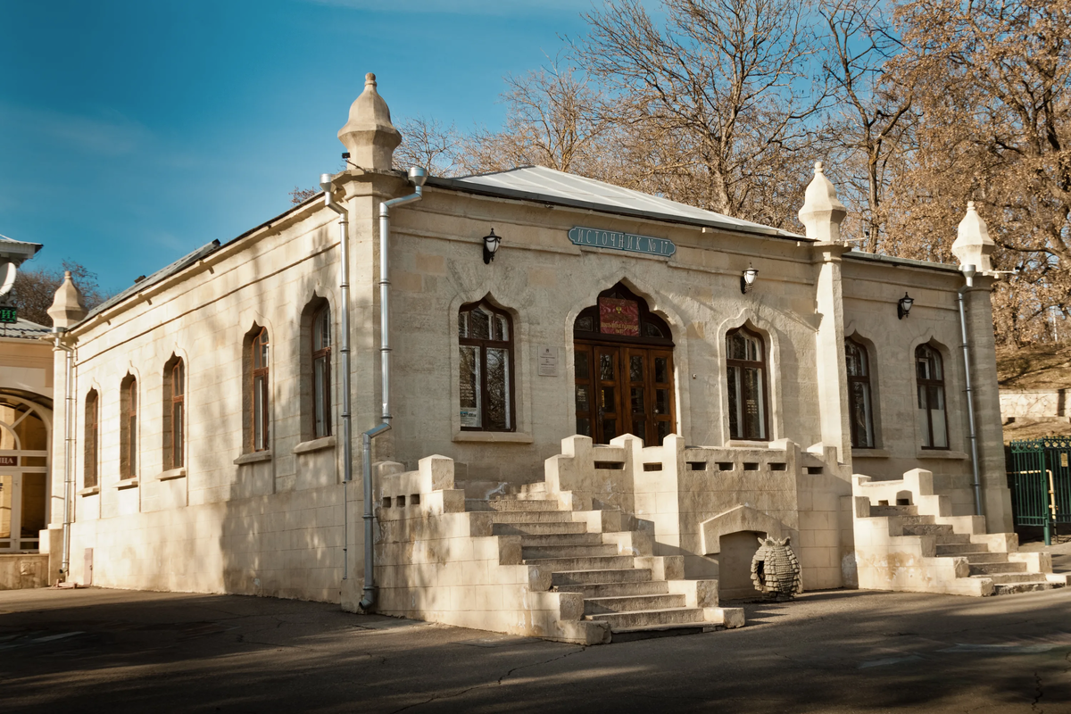 Ессентуки скважина 73 как пить