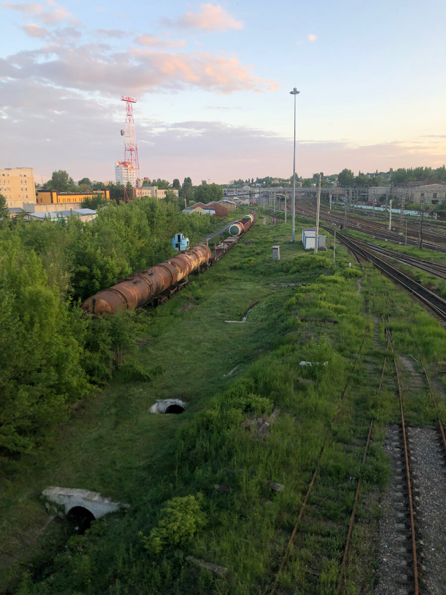 Город, в который вам не захочется возвращаться: Саратов - столица пыли в  России, далеко не рай | Другие дороги 🌏 | Дзен