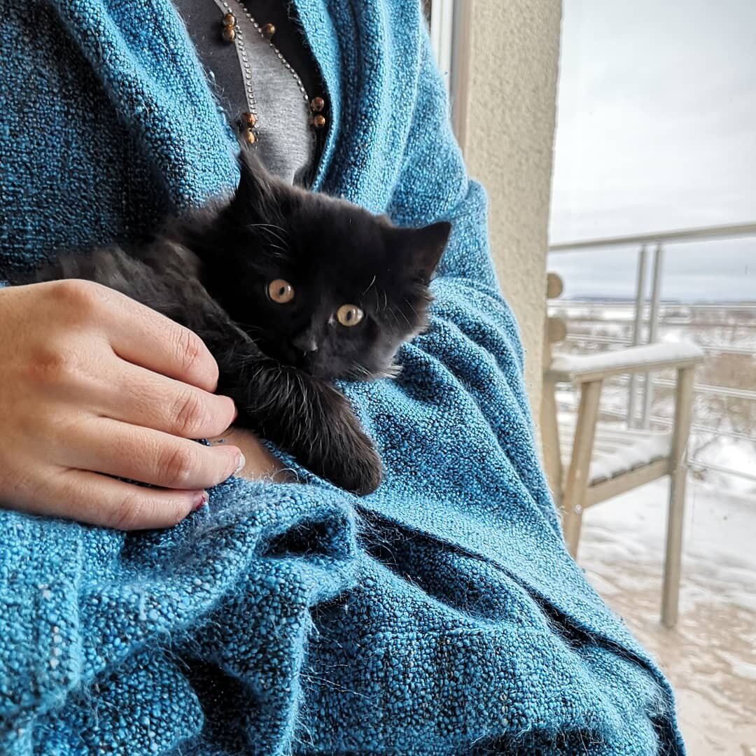 Домовуш