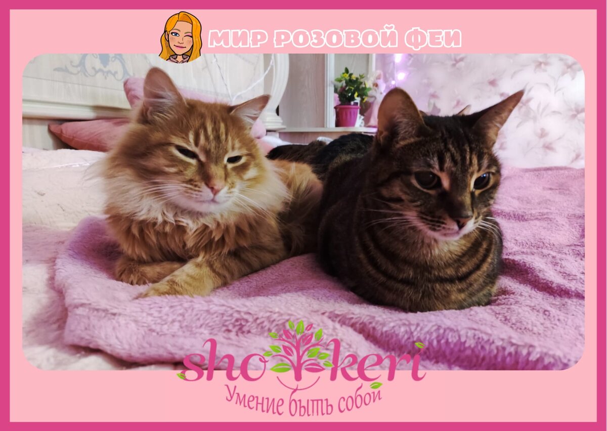 Полосатики