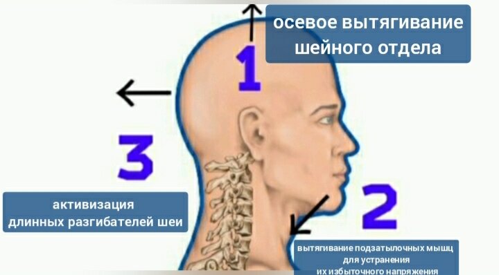 Упражнения для мышц глаза и шеи