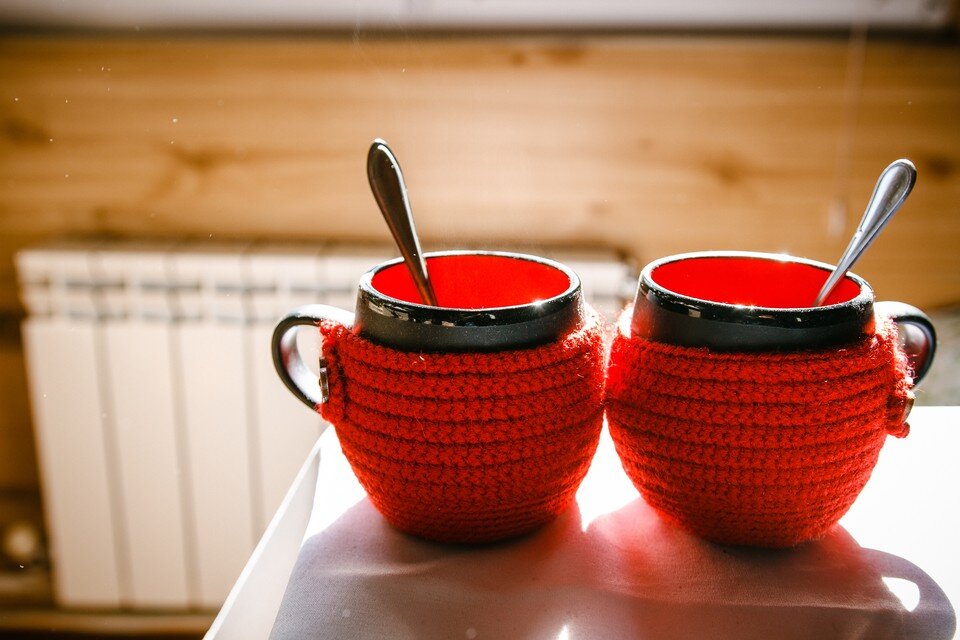     Львы могут сойти с ума от своих чувств