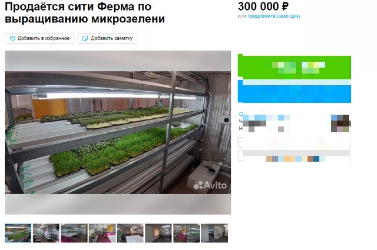    В Воронеже за 300 тыс руб. продают ферму по выращиванию съедобных цветов