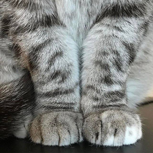 Фото из Интернета.