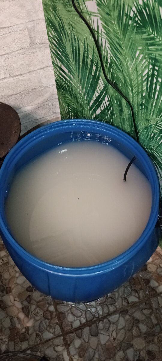 Брага перестала бродить и реанимировать мне её не удалось