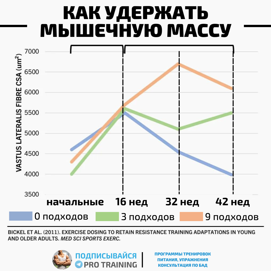 Как накачать ноги мужчинам старше 45 лет: Какой объем работы необходимо  выполнить за неделю | Томаш Игорь | Pro Training | Дзен