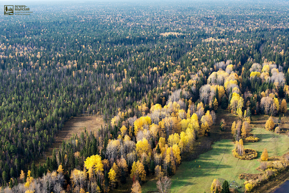 Заповедник
