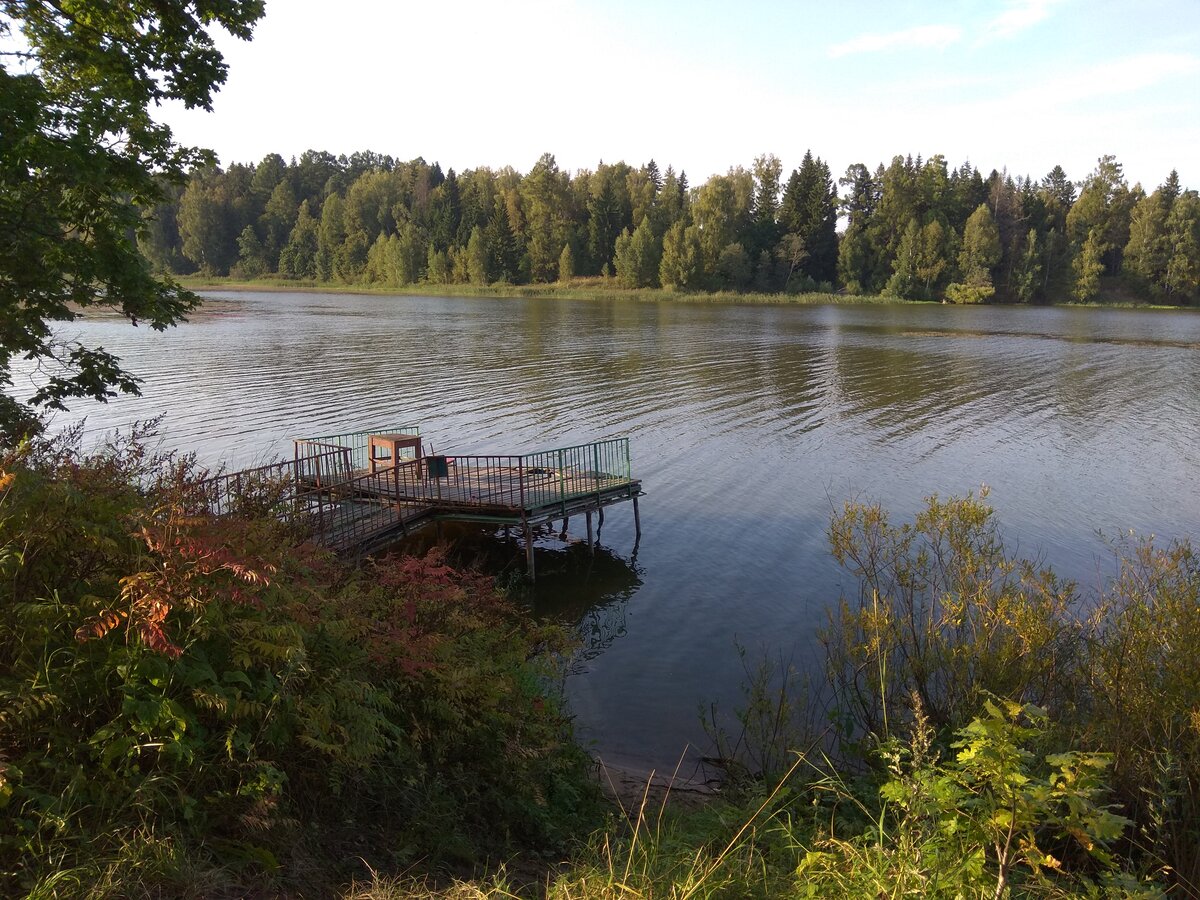 Берег истринского водохранилища. Истринское водохранилище Тимофеевский плёс. Пляж Лопотово Истринское водохранилище. Деревня пятница Истринское водохранилище. Зеленково Истринское водохранилище.