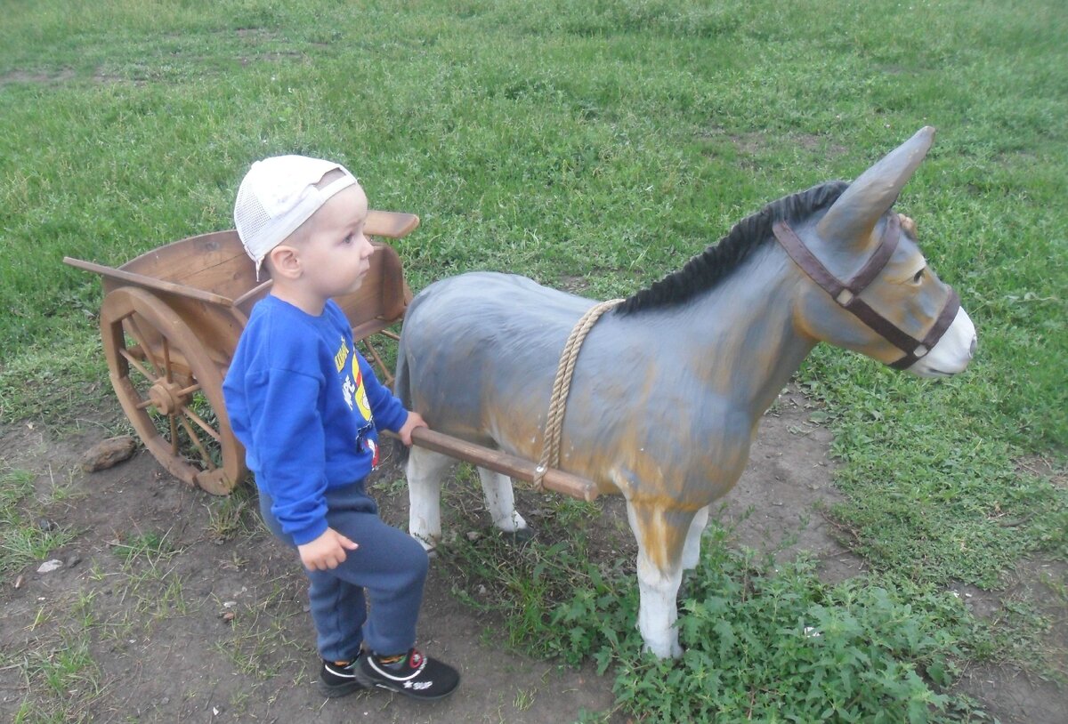 А это Даня позирует с осликом, которому кто-то уже успел сломать ухо. Фото автора
