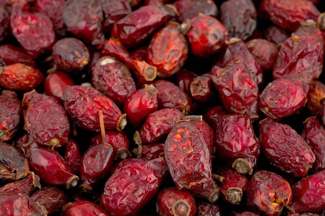 Высушите плоды и будете обеспечены на всю зиму лекарством.