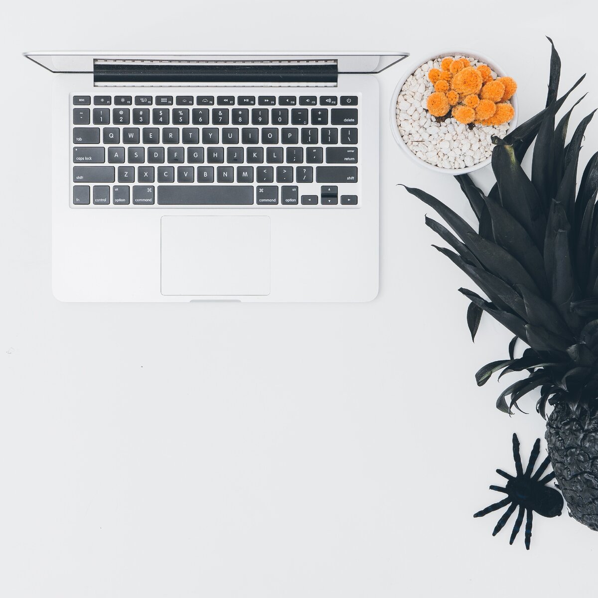 Фото автора Pineapple Supply Co.: Pexels 