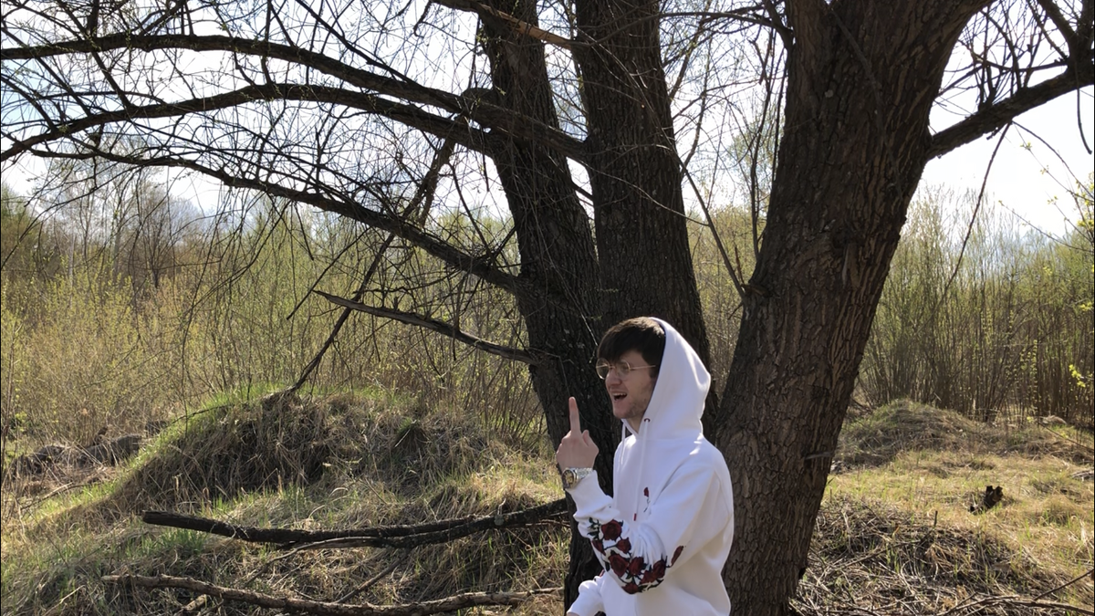 Я, сено и дерево