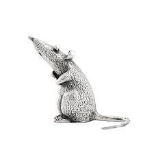 символ года (фото из интернета)