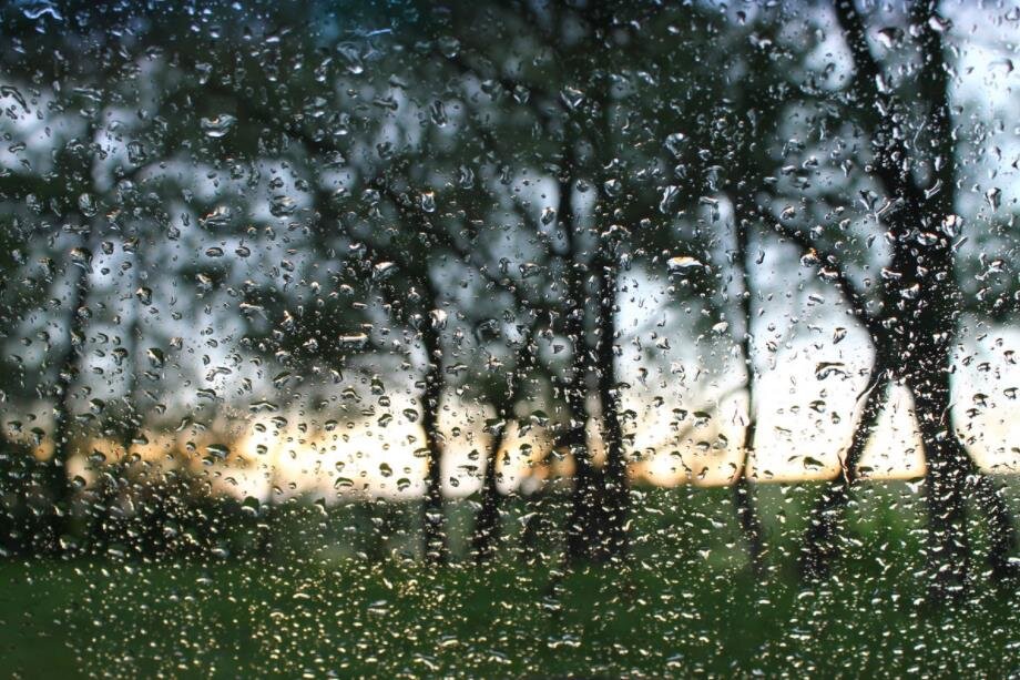 Фото — yandex.net