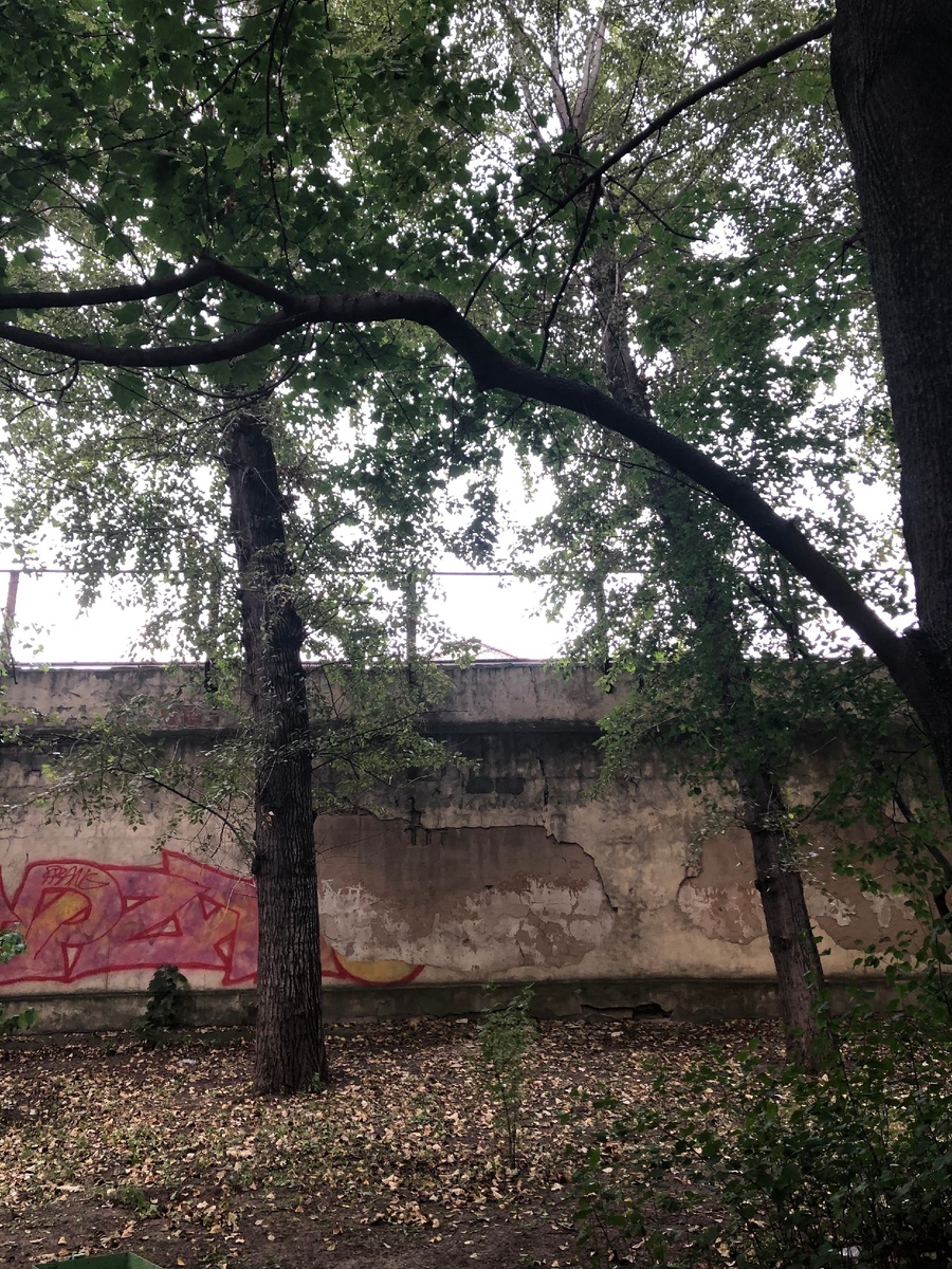 фото из личного архива. Стена СИЗО во дворе