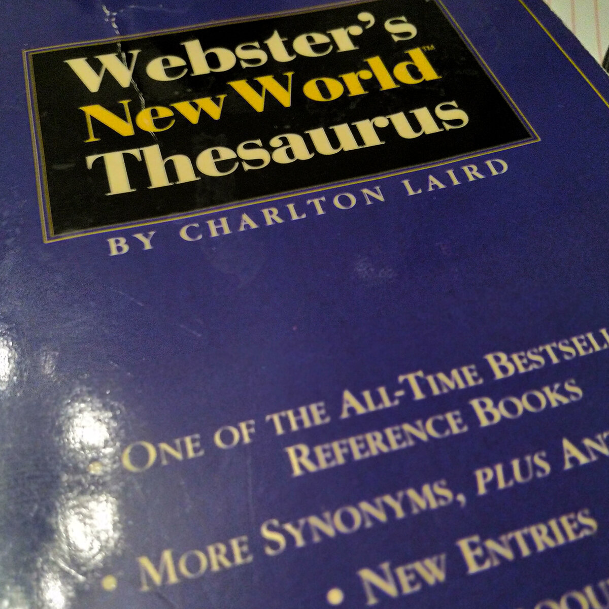 Ошибка в переводе может иметь политические последствия