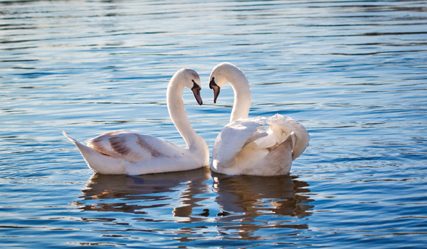 Источник: Яндекс.Картинки